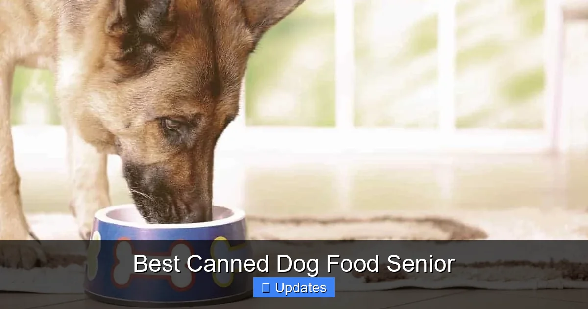 Best Canned Dog Food Senior