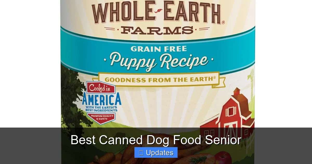 Best Canned Dog Food Senior