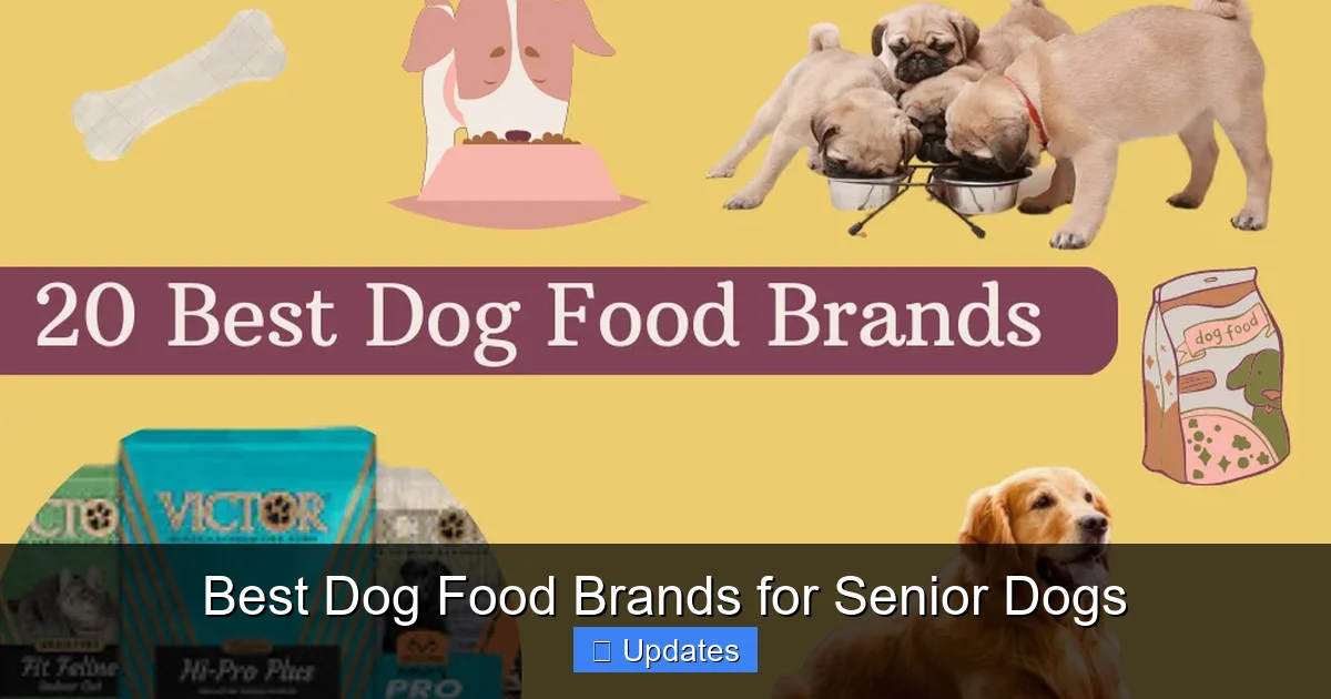 Best Dog Food Brands for Senior Dogs