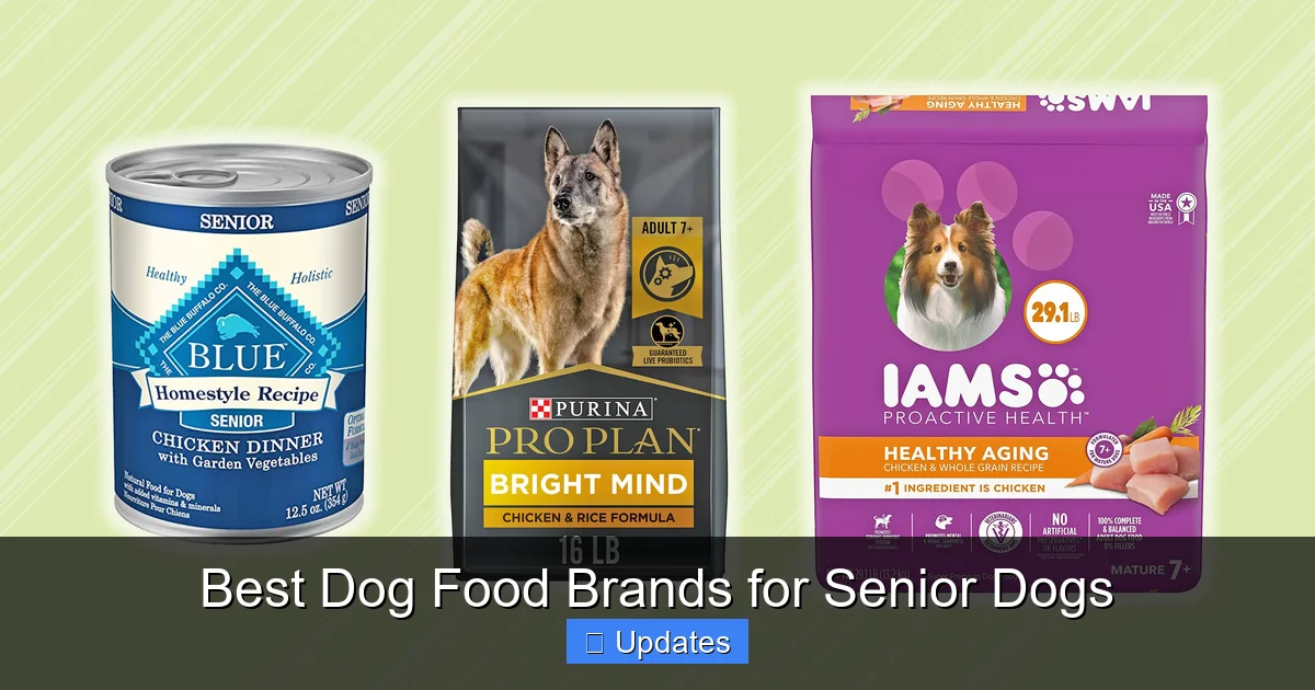Best Dog Food Brands For Senior Dogs