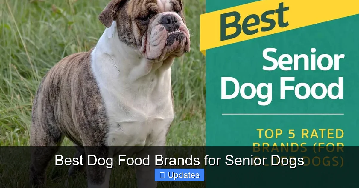 Best Dog Food Brands for Senior Dogs