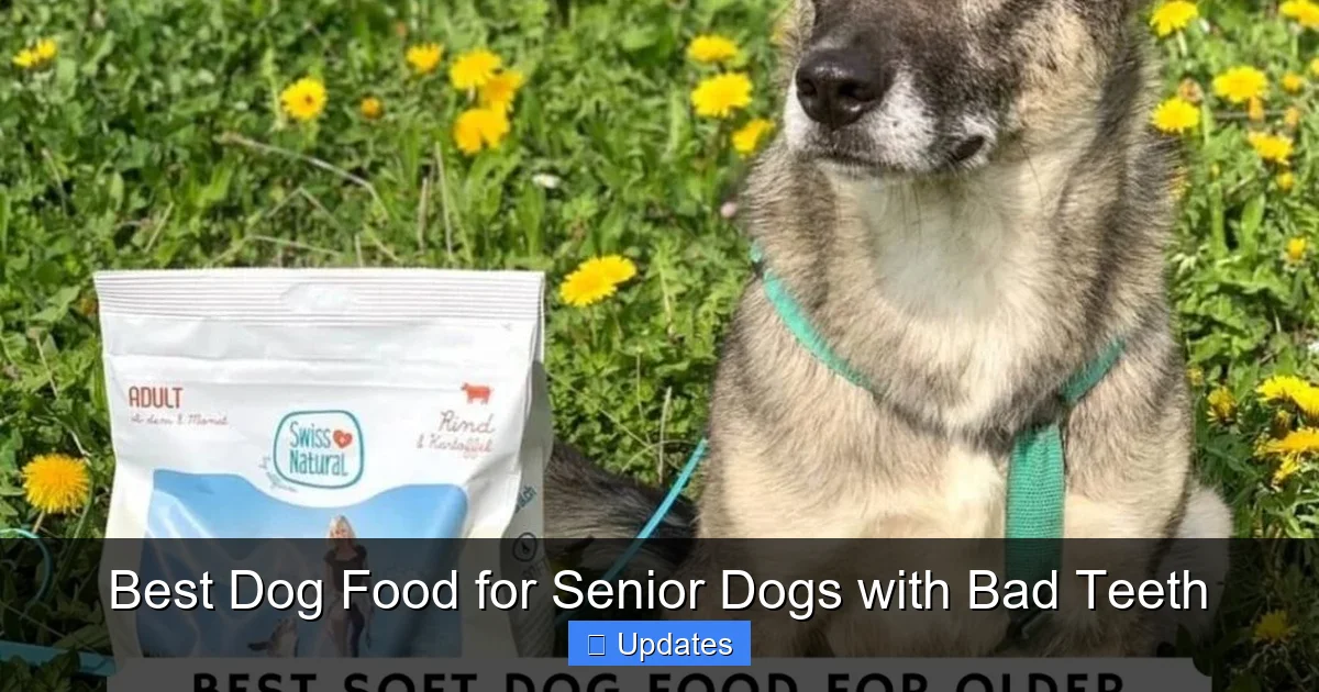 Best Dog Food for Senior Dogs with Bad Teeth