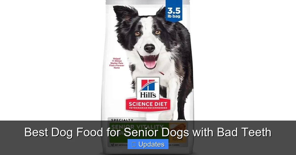 Best Dog Food for Senior Dogs with Bad Teeth