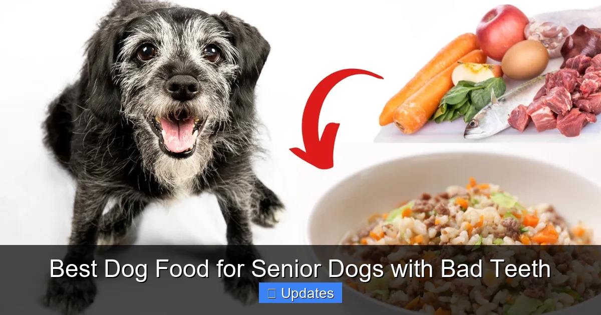 Best Dog Food for Senior Dogs with Bad Teeth