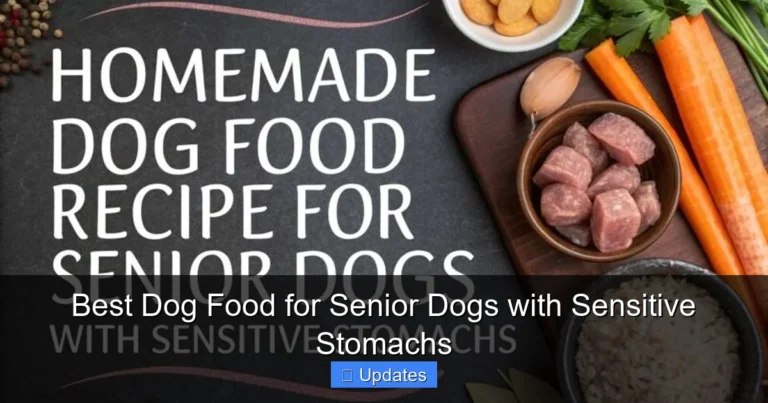 Best Dog Food for Senior Dogs with Sensitive Stomachs