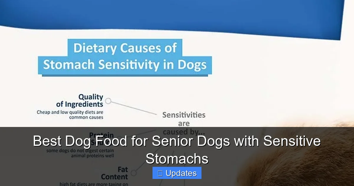 Best Dog Food for Senior Dogs with Sensitive Stomachs