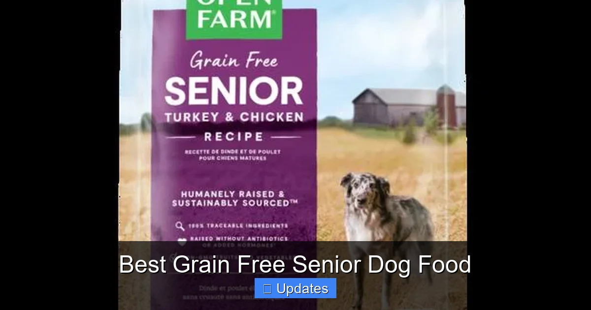 Best Grain Free Senior Dog Food