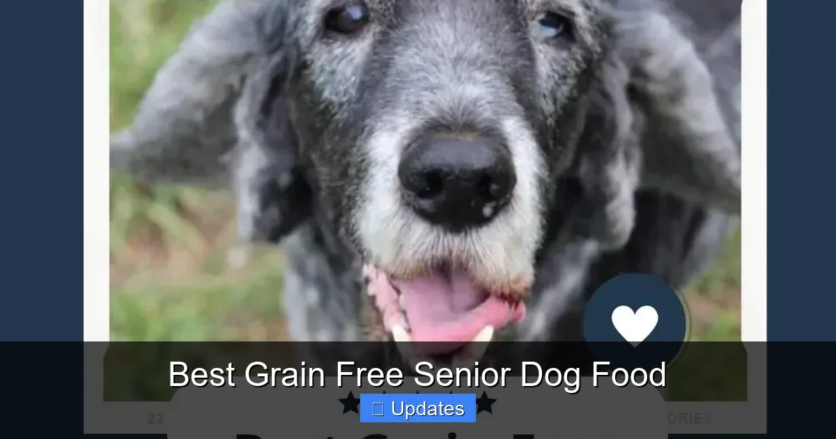 Best Grain Free Senior Dog Food