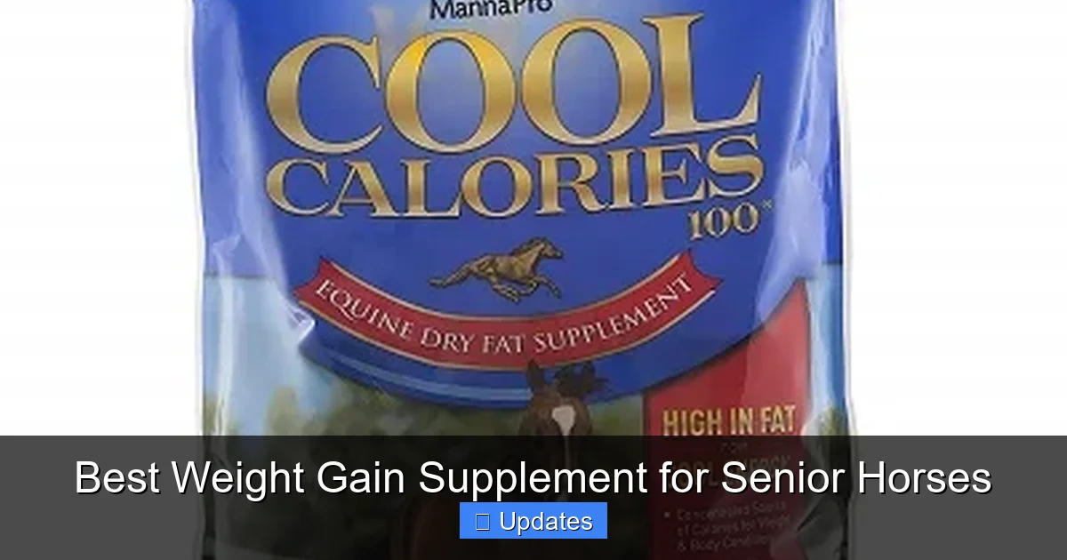 Best Weight Gain Supplement for Senior Horses