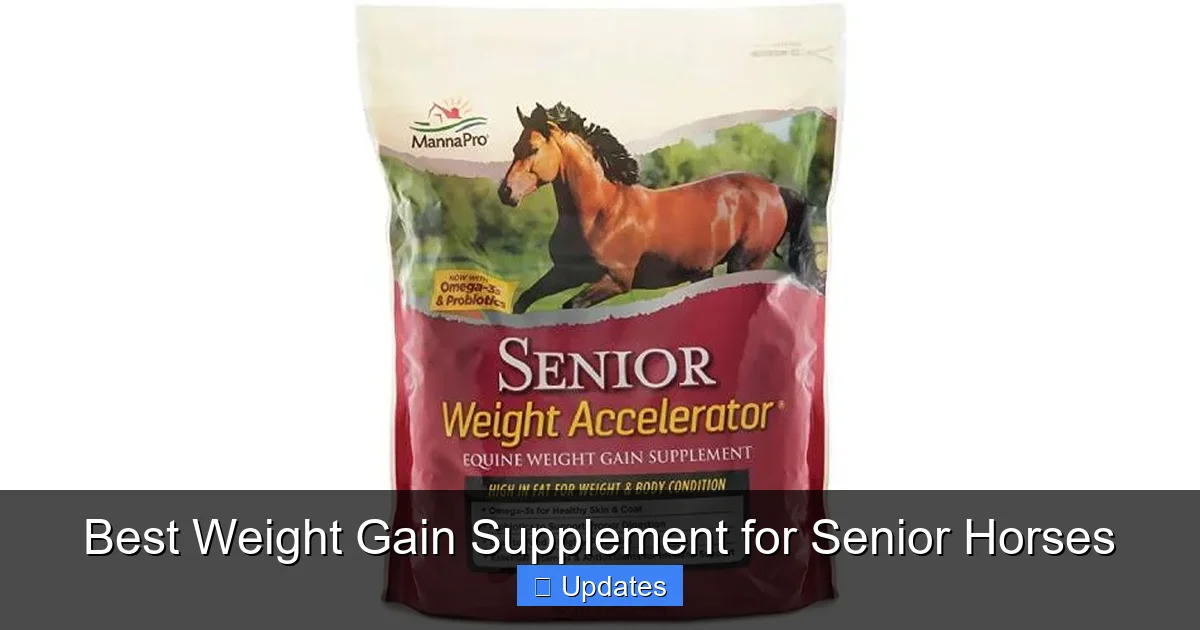 Best Weight Gain Supplement for Senior Horses