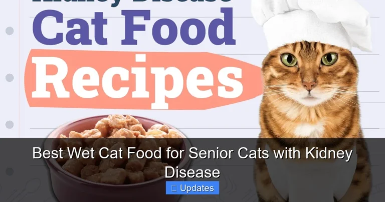 Best Wet Cat Food for Senior Cats with Kidney Disease