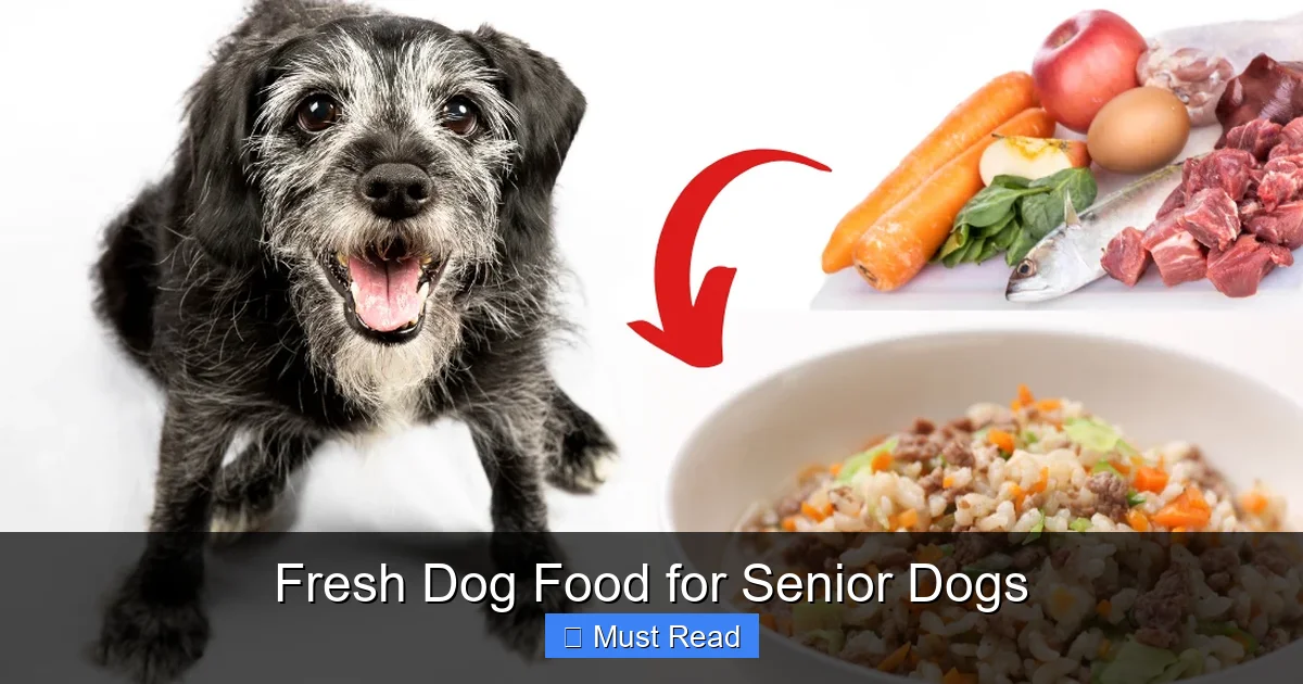 Fresh Dog Food for Senior Dogs