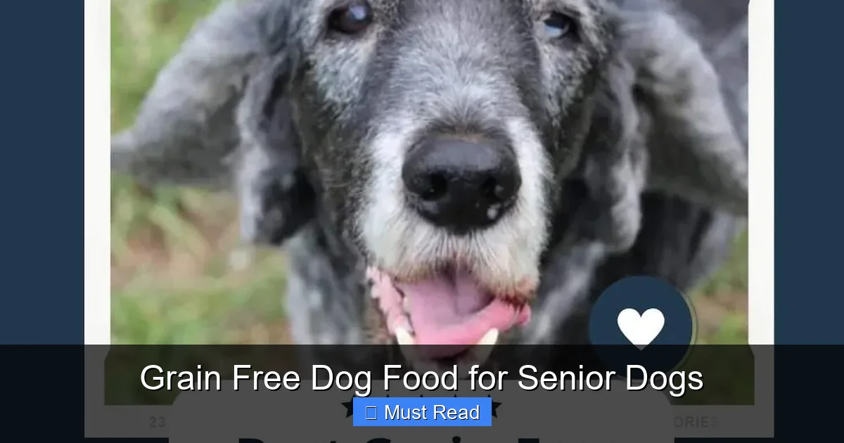 Grain Free Dog Food for Senior Dogs