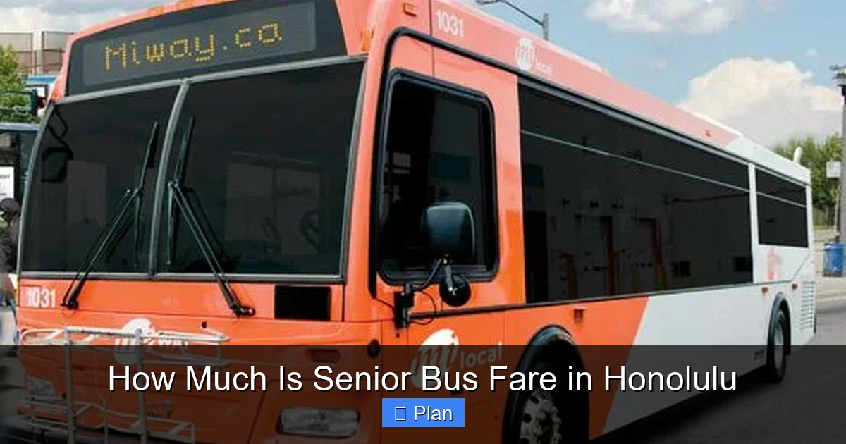 How Much Is Senior Bus Fare in Honolulu