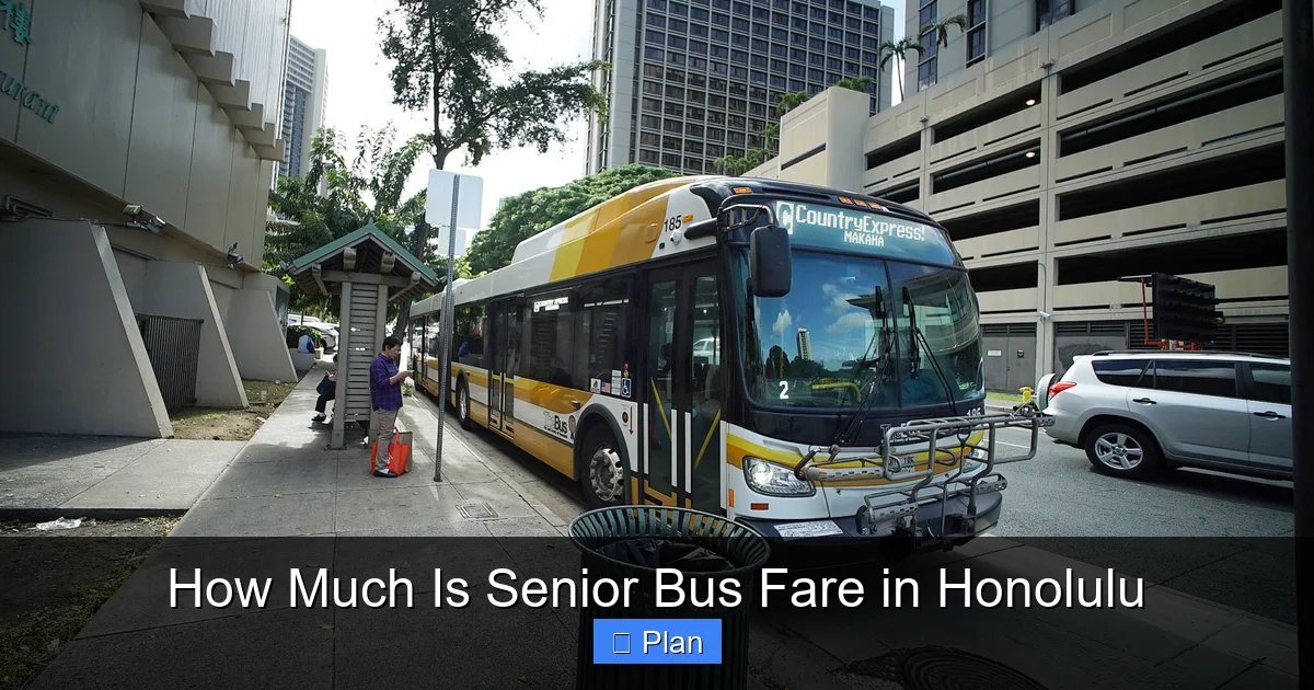 How Much Is Senior Bus Fare in Honolulu