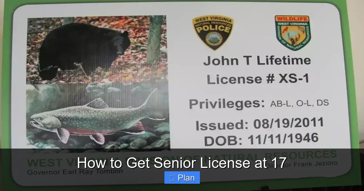 How to Get Senior License at 17