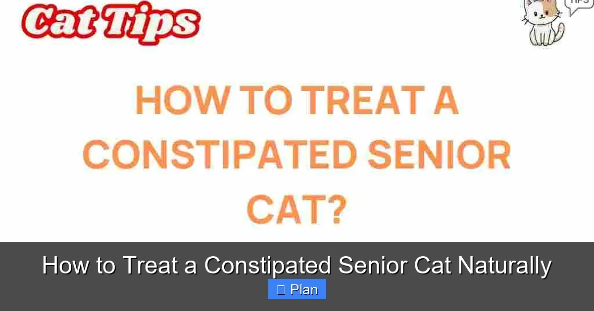 How to Treat a Constipated Senior Cat Naturally