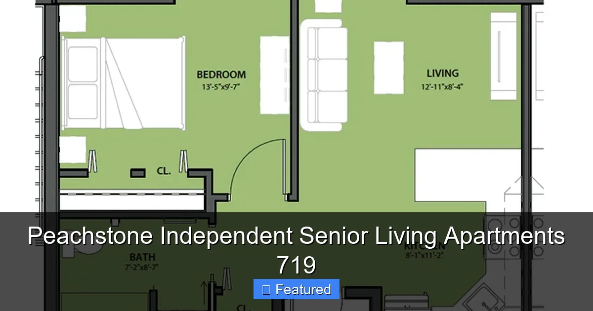 Peachstone Independent Senior Living Apartments 719