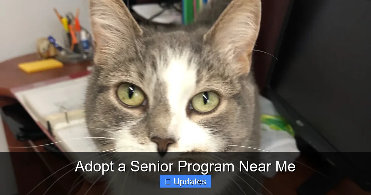 Adopt a Senior Program Near Me