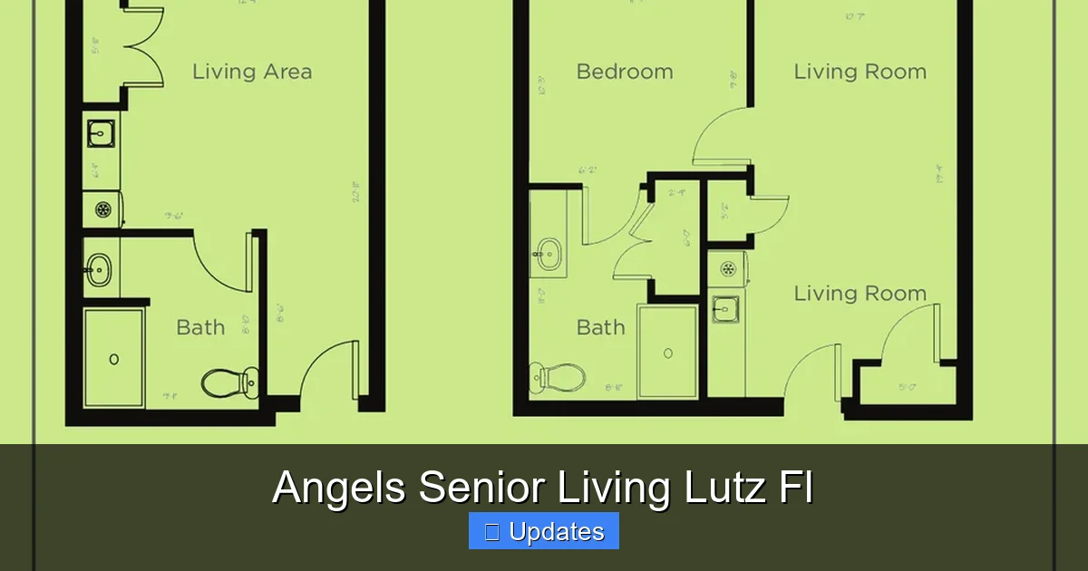 Angels Senior Living Lutz Fl