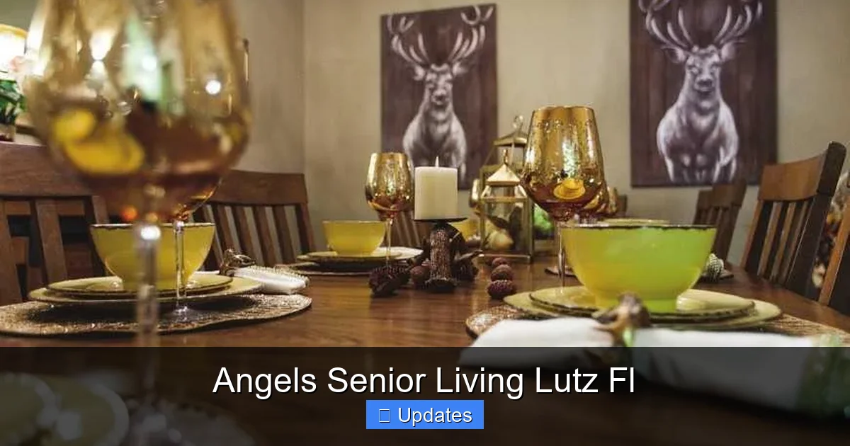 Angels Senior Living Lutz Fl