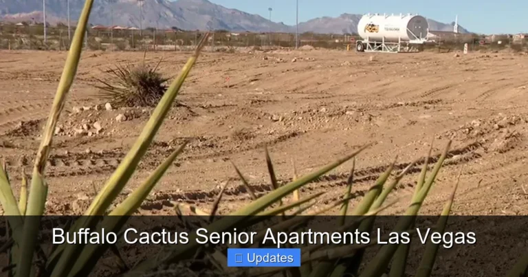 Buffalo Cactus Senior Apartments Las Vegas