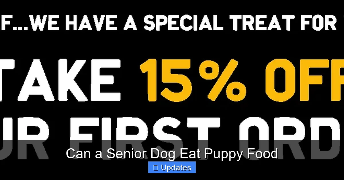 Can a Senior Dog Eat Puppy Food