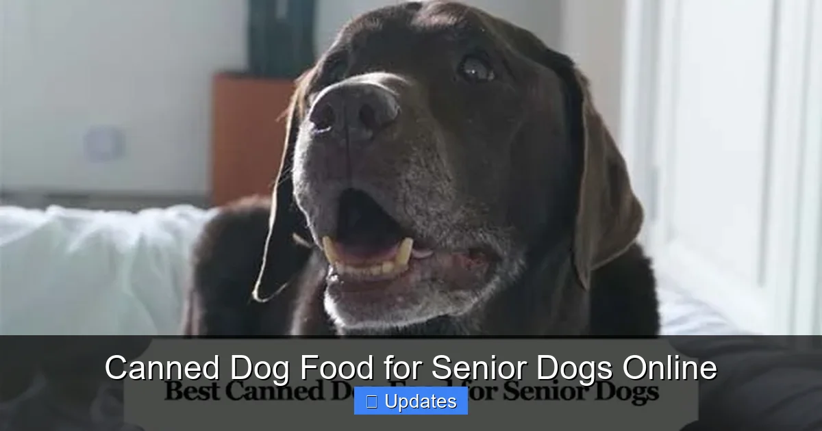 Canned Dog Food for Senior Dogs Online