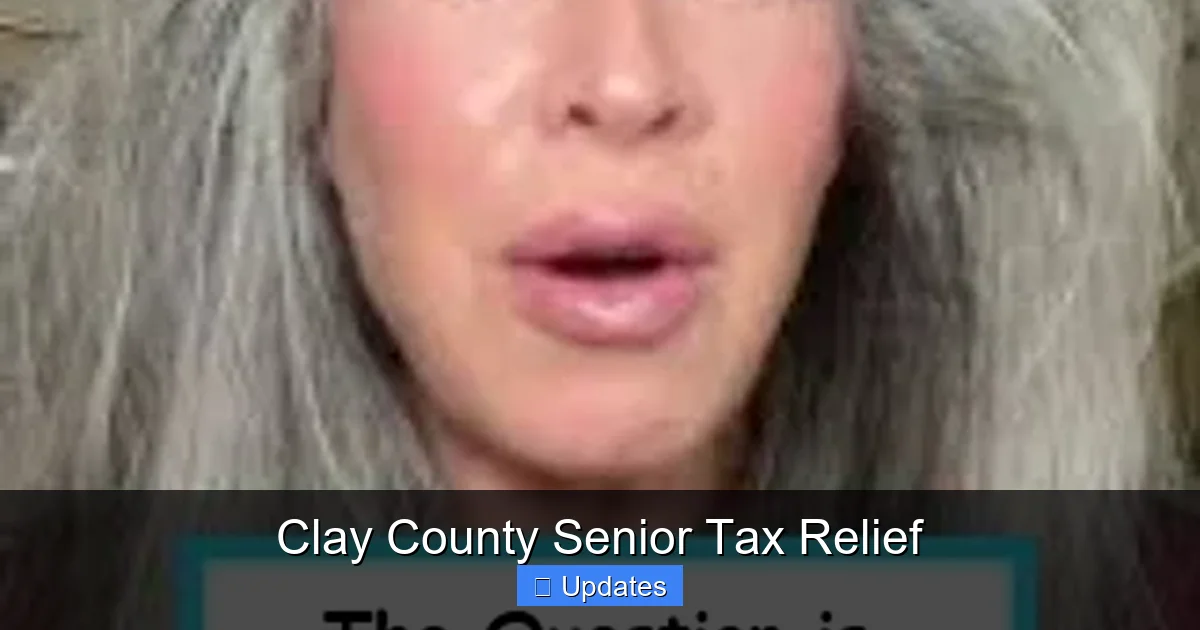 Clay County Senior Tax Relief