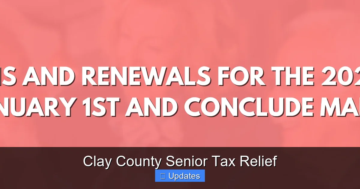 Clay County Senior Tax Relief