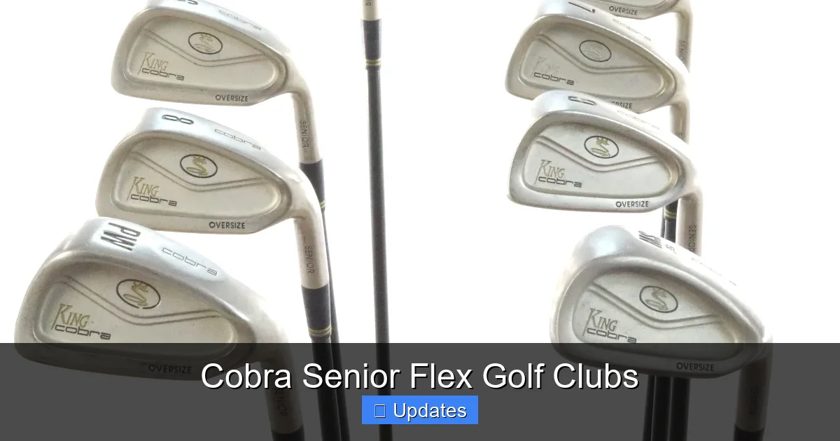 Cobra Senior Flex Golf Clubs
