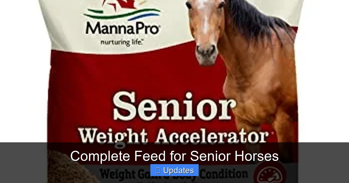 Complete Feed for Senior Horses