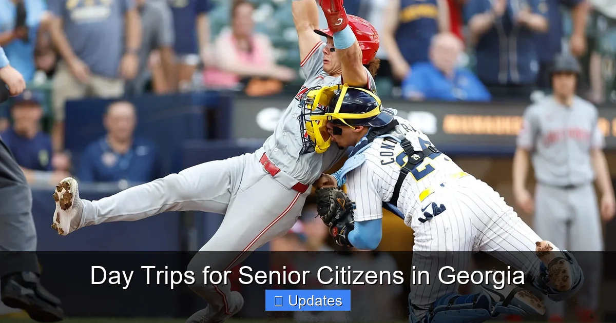 Day Trips for Senior Citizens in Georgia
