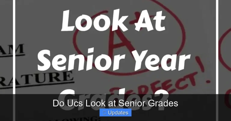 Do Ucs Look at Senior Grades