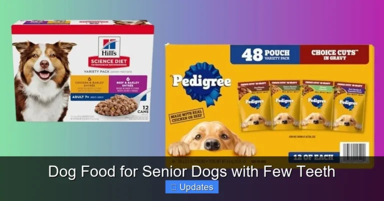 Dog Food for Senior Dogs with Few Teeth