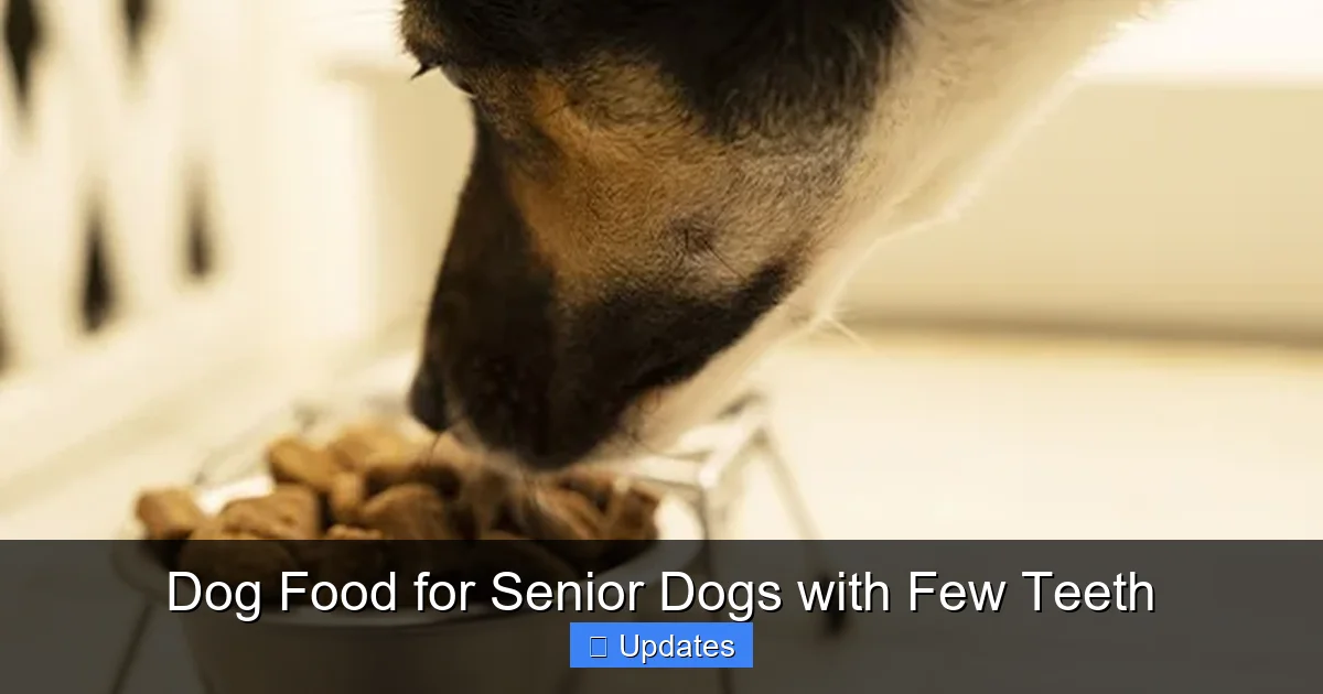 Dog Food for Senior Dogs with Few Teeth
