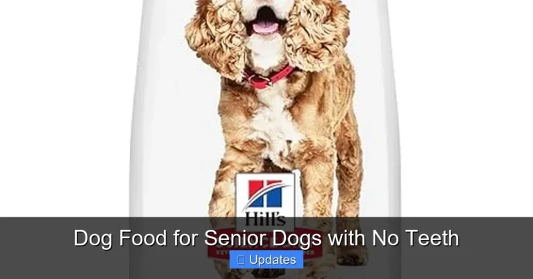 Dog Food for Senior Dogs with No Teeth