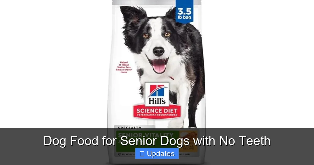 Dog Food for Senior Dogs with No Teeth