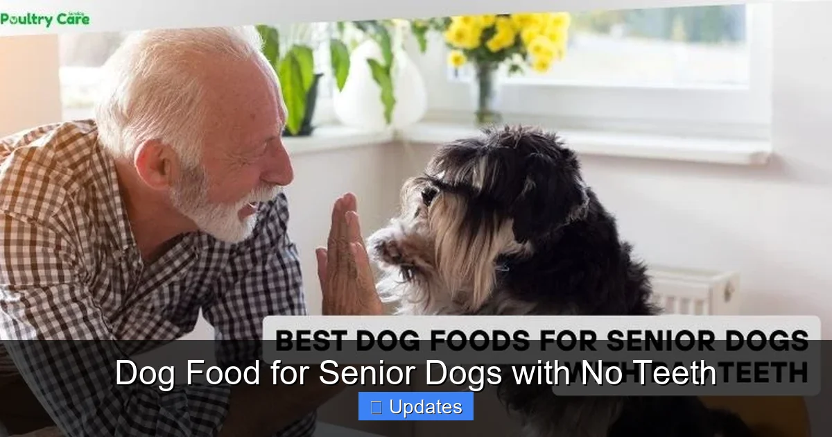 Dog Food for Senior Dogs with No Teeth