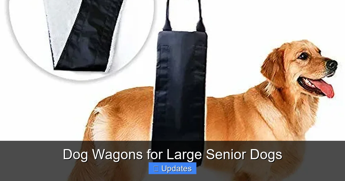 Dog Wagons for Large Senior Dogs