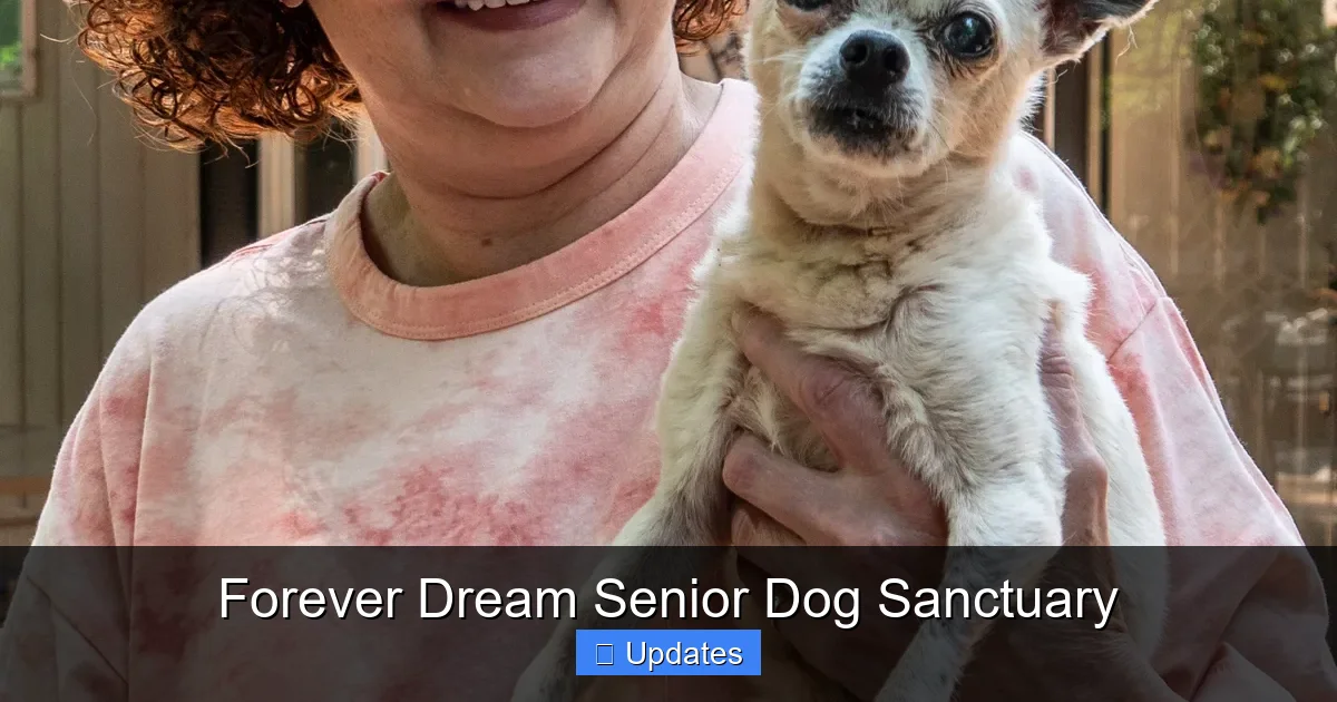 Forever Dream Senior Dog Sanctuary