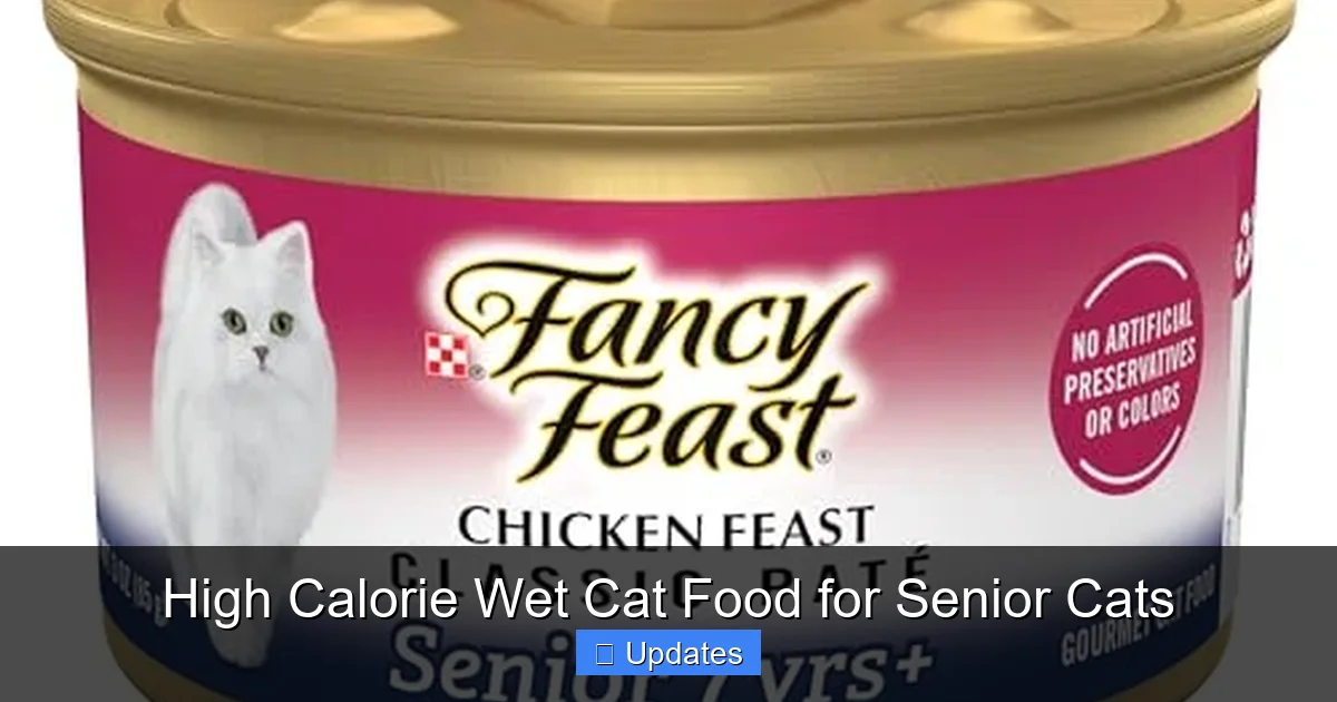 High Calorie Wet Cat Food for Senior Cats