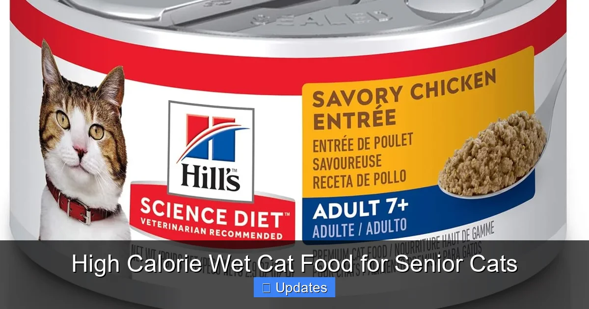 High Calorie Wet Cat Food for Senior Cats