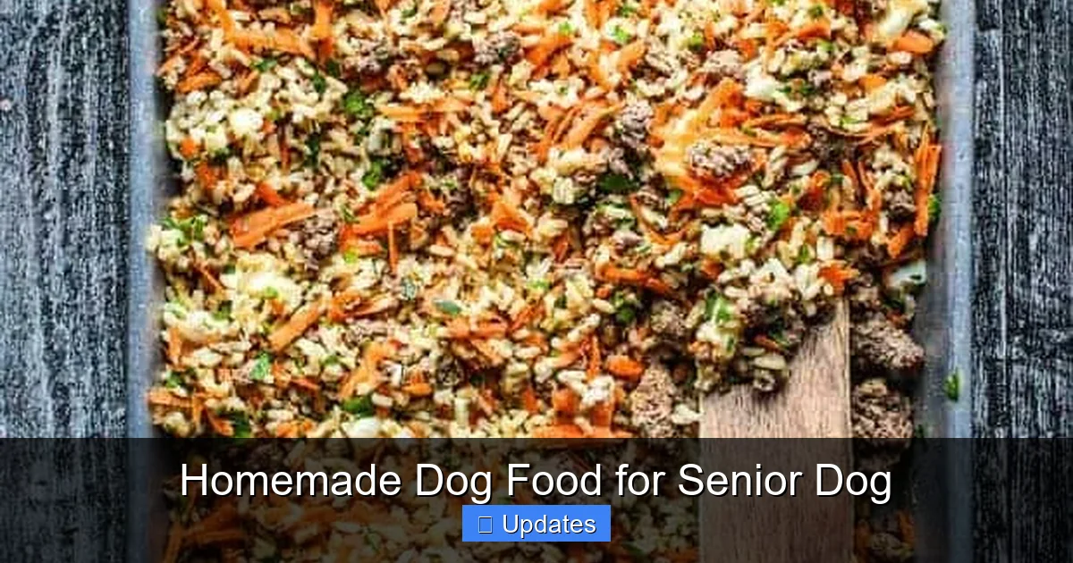 Homemade Dog Food for Senior Dog
