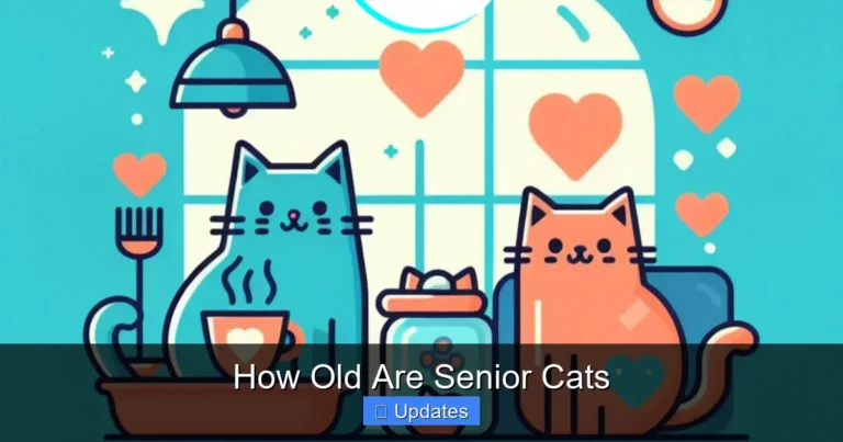 How Old Are Senior Cats