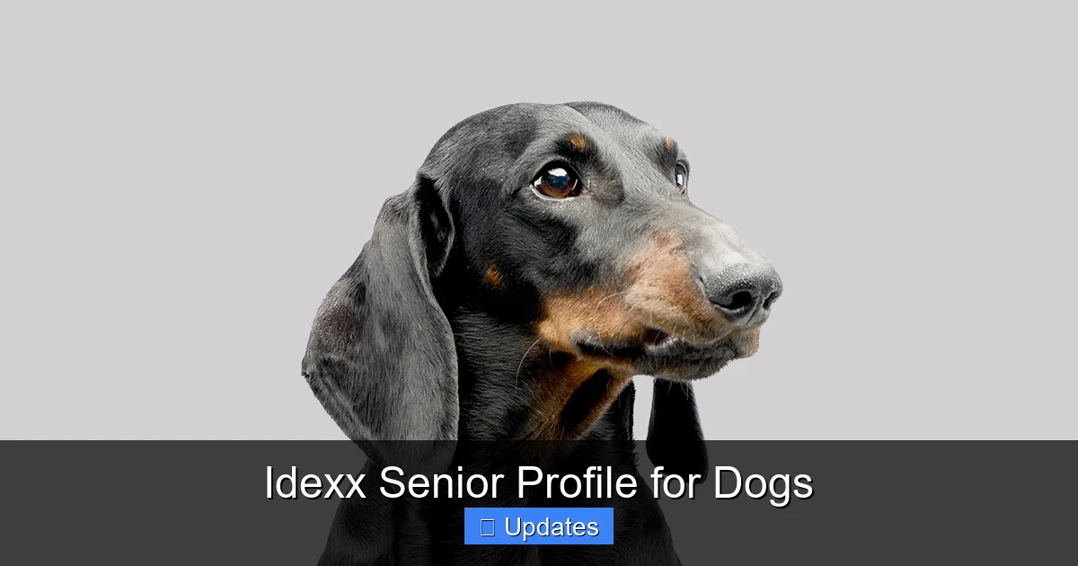 Idexx Senior Profile for Dogs