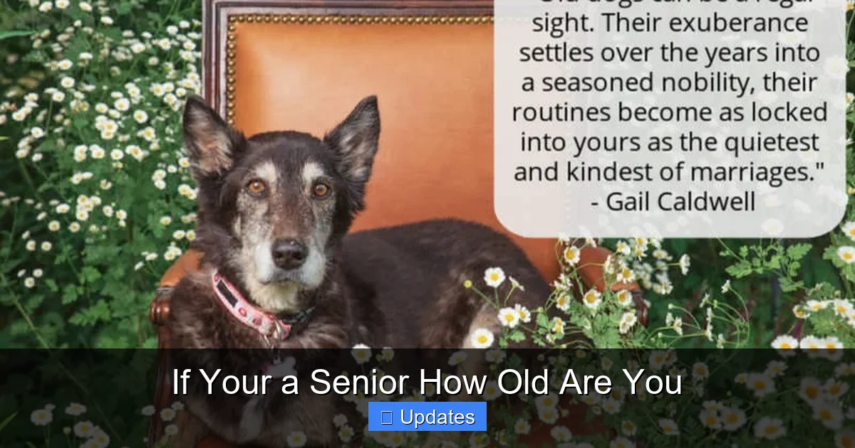 If Your a Senior How Old Are You