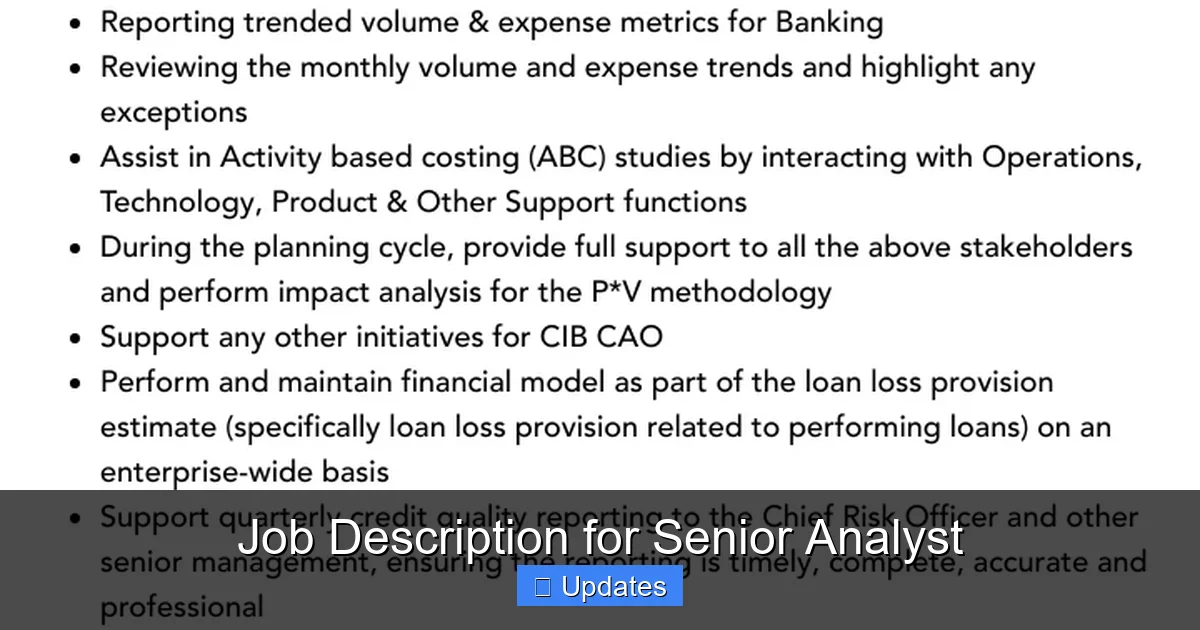 Job Description for Senior Analyst