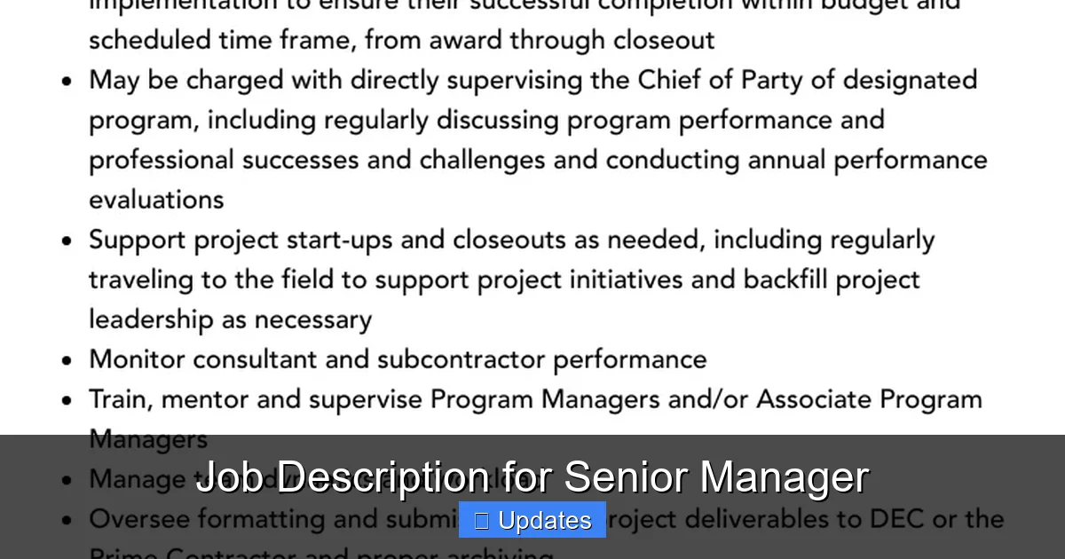 Job Description for Senior Manager