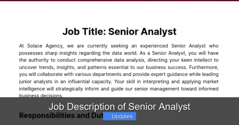 Job Description of Senior Analyst